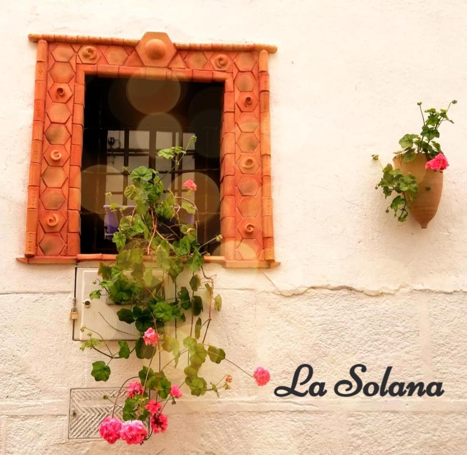 La Solana, Alojamiento Y Alfareria Аренас-де-Сан-Педро Екстер'єр фото